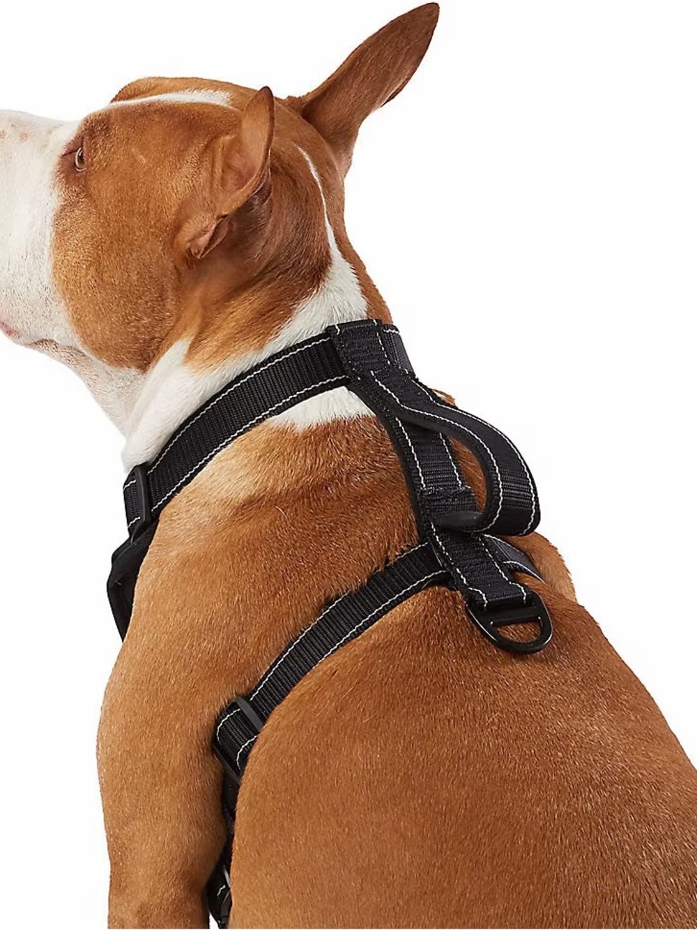 Black No-Pull Dog Harness for Medium and Large Dogs